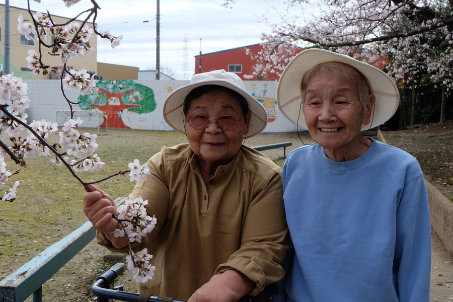 お花見