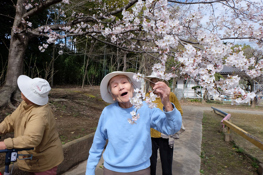 お花見